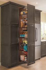 From middle english panetrie, from old french paneterie, related to latin panis (bread). Dispensa Pantry Cabinet Kitchen Craft Cabinetry