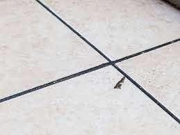 The area i use less frequently seems. Reasons For Cracked Floor And Wall Tile