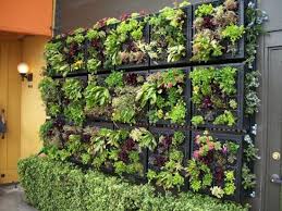 Alle infos finden sie direkt beim inserat. Hatte Gerne Einen Wand Garten In Der Wohnung Gibt Es Sowas Mietrecht Bauen Handwerk
