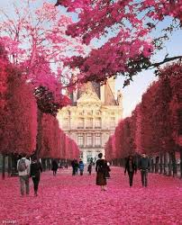 Jardin De Las Tullerias En Paris Francia Jardin De Las Tullerias Hermosos Paisajes Vacaciones En Mexico