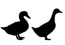 Black And White Goose Silhouette Silhouette Vector Blog Free Silhouette Illustration Duck Silhouette Silhouette Stencil Silhouette Illustration