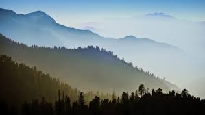 45 osx backgrounds on wallpapersafari. Nature Mountain Range Fog Sunrise Landscape Tree Mac Ox Ultrahd 4k Wallpaper Background Wallpapers Hd Desktop And Mobile Backgrounds