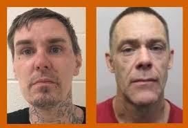 Rochester transients arrested