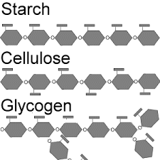 Rule Of 6ix Macromolecules Chemical Structure Biochemistry