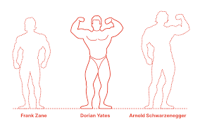 Kris gethin fundamentally changed his approach to cardio while training for an ironman, but if you think he lost his gains, you're sorely mistaken. Dorian Yates Dimensions Drawings Dimensions Com