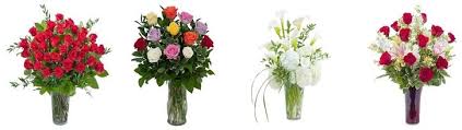Check spelling or type a new query. The 14 Best Options For Flower Delivery In Calgary 2021