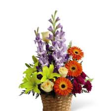 Same day flower delivery buntingford royston baldock puckeridge melbourn. Sympathy And Funeral Daisies Delivery Nebraska City First Class Flowers Gifts