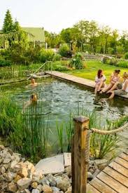 Bauarten 8211 Schwimmteich Naturpool Selberbauen Natural Swimming Ponds Pool Landscaping Natural Pool