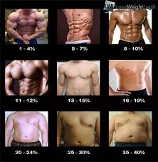 What Diet Plan Should I Follow To Reduce Body Fat Percentage