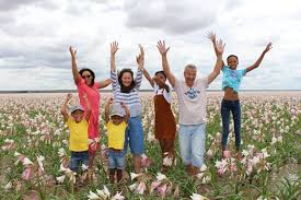 In namibia the namib reaches up to 150 km inland, but has an average width of 100 km. Thousands Of Sandhof Lilies Bloom After Good Rains The Namibian