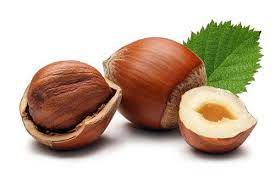 Precocious Hazelnut Filbert Corylus Avellana Quart Pot Gesundes Essen Essen Haselnuss