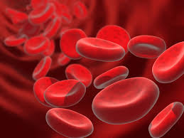 A complete blood count (cbc), also known as a full blood count (fbc), is a set of medical laboratory tests that provide information about the cells in a person's blood. Anemia In The Older Adult 10 Common Causes What To Ask