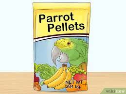 Como Darle De Comer A Los Loros 12 Pasos Con Imagenes