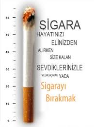 Pin page