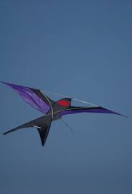 Bird Kites Bird Kite Kite Kite Designs