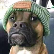 The album comes years after the release of dakar ii in 2016. Can A 2oo6 Have Sex Kwesta De Spirit Facebook