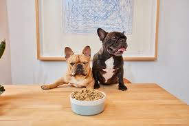 How many calories in dog food? How Much Food To Feed Your Dog Ollie Blog