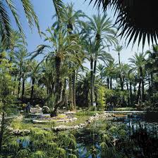 Maybe you would like to learn more about one of these? Week 5 Palmeral Of Elche Europe