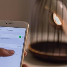 Bluetooth Speaker Light Jingoo The Phoenix Toytoise