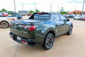 Image result for Rockwood Green 2025 Santa Cruz