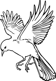 Free Image On Pixabay Bird Wings Landing Feathers Bird Outline Bird Drawings Flying Bird Drawing