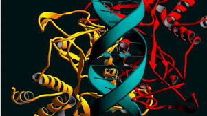 Resultado de imagen de realidad intrinseca