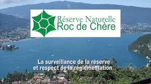 La topographie très variée du roc, qui forme un ensemble de microreliefs et donc de microclimats, permet de définir cinq grands ensembles naturels : Roc De Chere Cen Haute Savoie