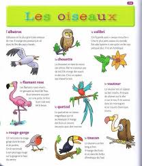 Pin By Sara Sipes On Lessons In Speaking French Learning French For Kids Learn French Teaching French