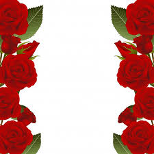 Bordo Cornice Fiore Rosa Rossa Rosa Rossa Fiori Rosa Rose Rosse