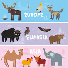 Lesson of the camel : Cute Animals Set Camel Crocodile Alligator Hare Rabbit Fox Gannet Bat Deer Eagle Raccoon Panda Wolf Kids Background Europe Asia E Stock Vector Illustration Of Animal Europe 99092430