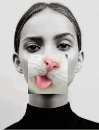 Luisa Ballesteros (luisaballesteros0065)