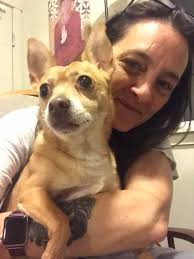 FOUND!!!! He's home!!!! Thank you so much for all your support and  guidance. I am forever grateful. ❤️🙏 I can't find my Dexter. He's a  chihuahua and we live in an apartment