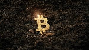 How long does it take to mine a bitcoin? How Long Does It Take To Mine Bitcoin Stockhead