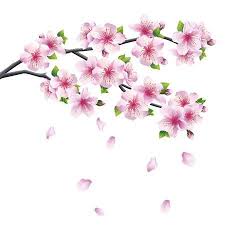 Illustration Of Blossoming Branch Of Sakura Japanese Cherry Tree With Falling Petal Bea Blossom Tree Tattoo Cherry Blossom Drawing Cherry Blossom Tree Tattoo