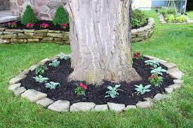 Remember to leave eight to 10 inches between the rocks and the tree trunk. 15 Beautiful Ideas For Decorating The Landscape Around The Trees Landscaping Around Trees Landscaping With Rocks Landscaping Inspiration