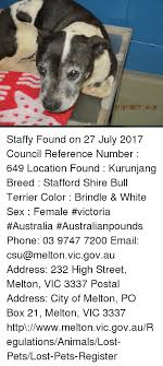 270t2017 148 18 Staffy Found On 27 July 2017 Council