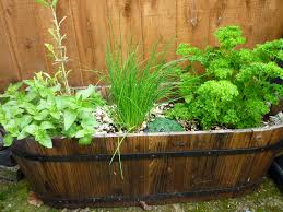 Photos of best herbs to grow indoor and outdoor gardens with these herb garden design ideas. Growing Organic Herbs In Your Garden How To Grow Herbs Organically