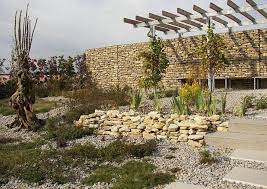 Gabione Mediterrane Pergola Und Trockengarten Begriff Auch Als Gabionen Trockengarten Diy Pergola Pergola