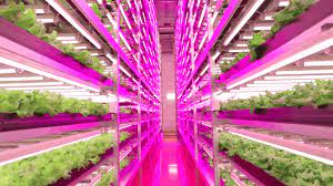 These slim, dimmable led bars are highly resistant to. How Led Is Lighting The Way Toward Indoor Farming Ge News