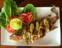 Check spelling or type a new query. Best Fish Tacos Review Of Kai Pez Bacalar Mexico Tripadvisor