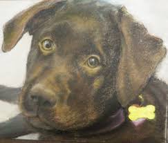 What to do with pet dog ashes. Grieving Your Departed Pet Remember Him With A Piece Of Original Art