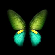 Info on wallpaper from photos. Download Samsung Galaxy Fold Wallpaper Sammobile