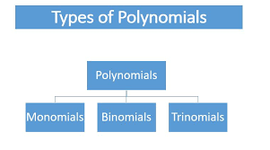 Types Of Polynomials Monomial Binomial Trinomial Cbse