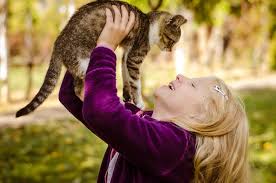 However, what is a cats memory span? How Long Can A Cat Remember A Person