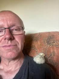 Lilly always wants to sit