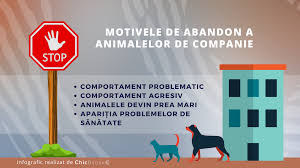 Până la urmă, regulile pentru a ține animale de companie în spania sunt legi destul de evidente și normale. Romania Si Animalele De Companie Statistici Si Curiozitati Blog Chic Bijoux Curiozitati Si Noutati Despre Bijuterii Personalizate