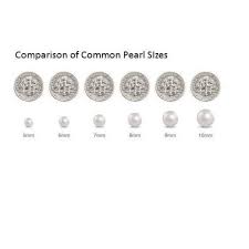 10mm Aaa Quality White South Sea Pearl Stud Earrings