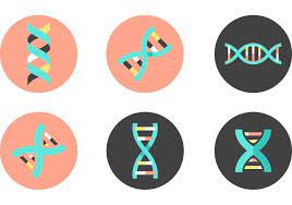 Dna Double Helix Vector Icons Vector Art Design Dna Logo Dna Project