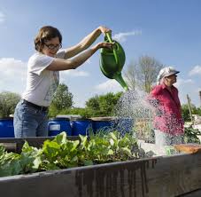 Stadtleben Hendricks Will Urban Gardening Fordern Welt