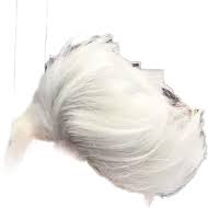 Hair Png Hair Png Boy Hairstyles White Hair